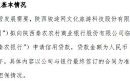 骏途网拟向银行申请2000万贷款 期限为三年(金融界业大公司贷款互联网)