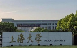 上海电力大学是985还是211大学