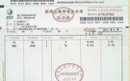 梦想家用车帐单(帐单费用梦想家充电车辆)