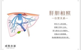 肝胆相照是什么意思