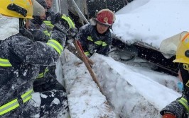 大雪(庇护所抛锚救援雪天大雪)