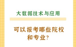 计算机应用技术专升本可以报考什么专业