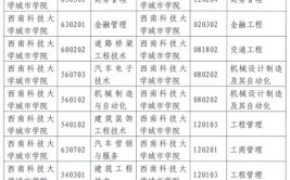 西南科技大学城市学院2017年招生章程