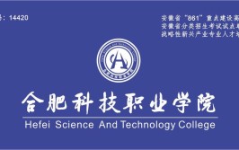 合肥科技职业学院是公办还是民办大学？