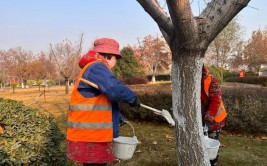 城关区采取灌溉涂白搭温棚养护措施 确保城区绿化苗木安全越冬