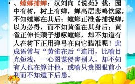 巡一见问姓名,其后无不识者翻译