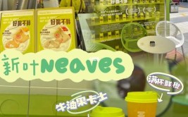 新叶NEAVES招聘公告