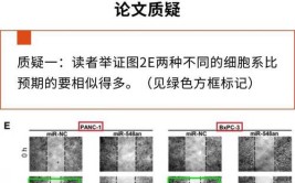 武汉协和医院划痕实验结果图重复被质疑(协和医院划痕同济质疑重复)