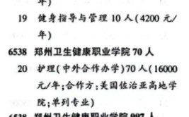 2024郑州卫生健康职业学院中外合作办学学费多少钱一年