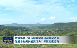 镇海如何盘活闲置农房助力乡村振兴(闲置村民乡村流转景区)