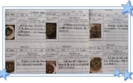 西安阎良区西飞第二小学三年级开展了制作植物观察记录卡实践活动