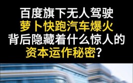 他告诉了我一个惊人的秘密(汽车部件电子设备水灾车辆)