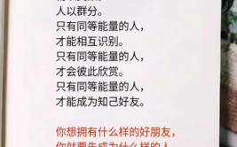 物以类聚人以群分什么意思