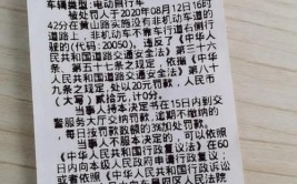 济南开出首张电动车违停罚单(齐鲁罚单口罩民警首张)