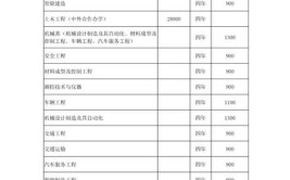 青岛理工大学中外合作办学学费多少钱一年