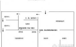 实验室装修的种类是如何划分的(实验室划分微生物实验是指)