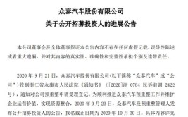 股价跌停，“妖股”众泰汽车会破产退市吗？(汽车众泰重整投资亿元)