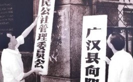 四川向阳公社撤社建乡始末(向阳公社人民公社包产改革)