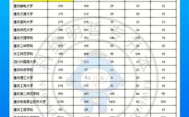 重庆物联网应用技术专升本可以报考哪些学校