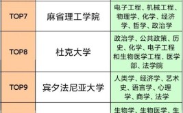 美国大学优势专业有哪些