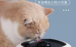 猫猫狗狗饮水机又坏了？这个方法一定能修好(饮水机修好一定能猫狗方法)