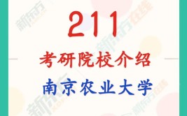 南京的211大学有哪些丨