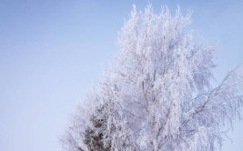 屋外雪花飘，屋内暖气流，真的太幸运了(雪景暖气也有屋外雪花)