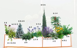 四季景观不断的长效花境是怎样实现的