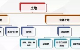 属于集体所有的土地包括哪几类