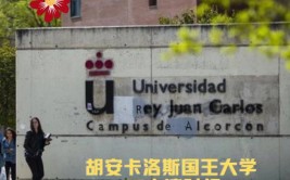 胡安卡洛斯国王大学硕士申请条件