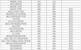 2024湖北历史275分能上什么大学？