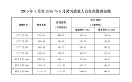 灵活用工(社保用工缴纳费用雇主)