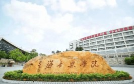 星海音乐学院是民办大学还是公办大学