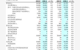 2024-2030年全球及中国汽车横梁行业需求预测及投资盈利分析报告(横梁汽车销量全球收入)