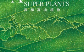 共同守护绿色家园中山公园植物医生为植物把脉问诊