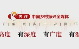 闪电·深读丨100个城建项目、10件民生实事项目  “拼”出幸福温度打造“宁津美好”(宁津项目闪电城建民生)