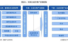 布局产业集群——合成生物产业化进程提速(生物合成产业创新领域)