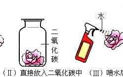 二氧化碳加水生成什么