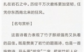 官用竹皆令录厚头积之如山翻译