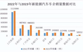 2024-2030年中国汽车维修行业发展现状及投资前景预测报告(分析汽车维修图表汽车行业)