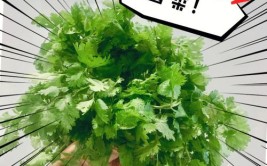 1厘米没长！哭诉：我连辣椒香菜都戒了……(两年香菜哭诉辣椒我连)