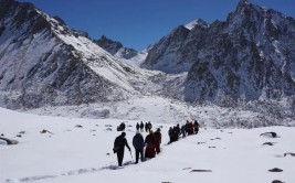 旅游回来路上发生了交通意外(孩子驾驶证花影给我的说)