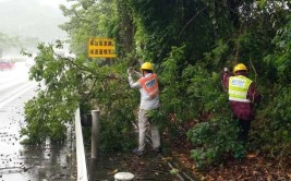 陕西交控西延分公司黄陵路养中心快速清理倒伏树木