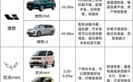 新能源车领军品牌,解读国外热门车型及其技术亮点