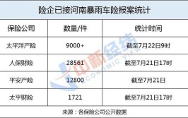 车险如何赔？广东多家险企已启动应急预案(车辆理赔暴雨车主河源)