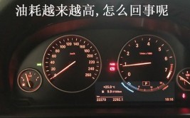 司机必读：你也可以是＂省油王＂(油耗就会你也可以司机车辆)