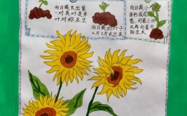 与自然和谐相处就要保护植物红岭实验小学一年级开展植物主题探究