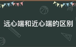 近心端和远心端是什么意思