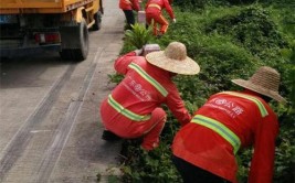 今年承德计划对983公里干线公路沿线进行绿化补植