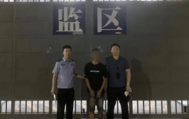 黄梅一男子拉完车门进牢门(车门盗窃荆楚网车内盗窃罪)